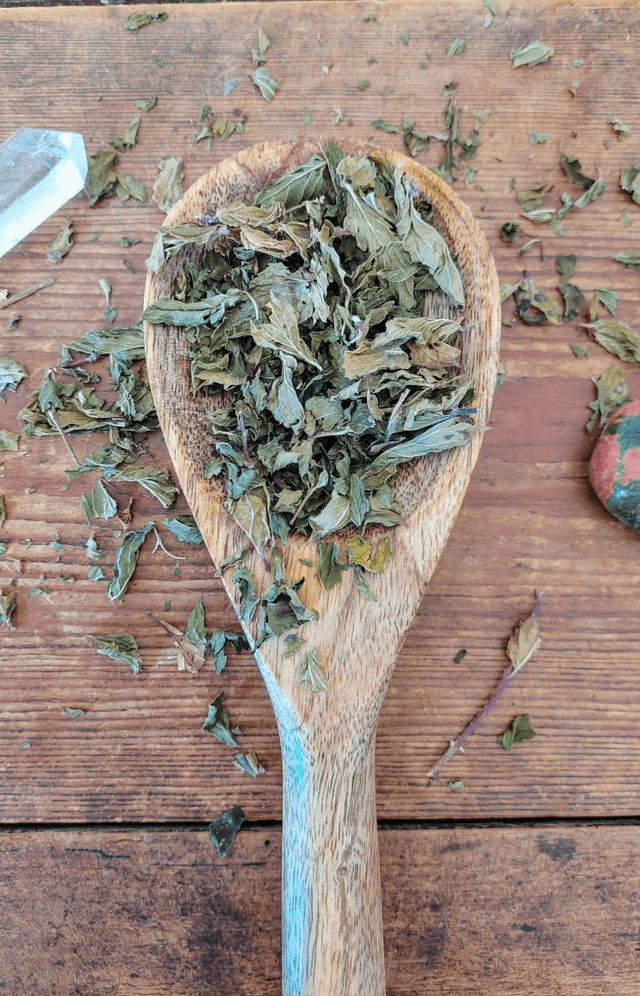 Crazy Mint (tisane d&#039;été)